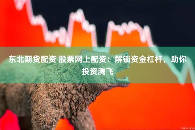 东北期货配资 股票网上配资：解锁资金杠杆，助你投资腾飞